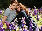 Kristen Stewart implorou para encontrar Robert Pattinson, diz revista