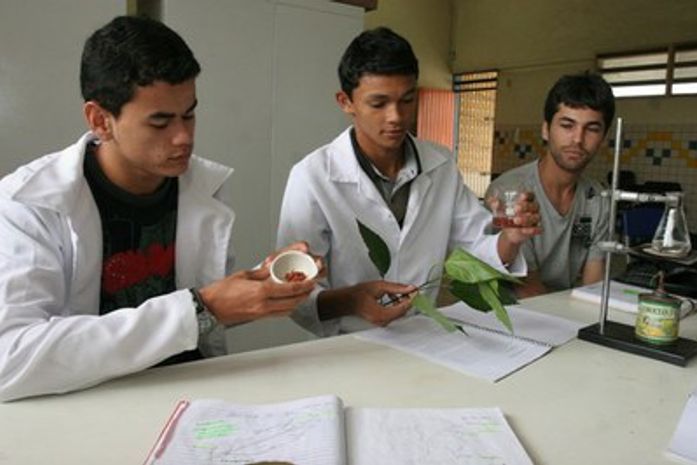 Substância pode ser usada no combate a doenças degenerativas