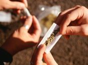 As drogas e o anteprojeto do Código Penal Brasileiro