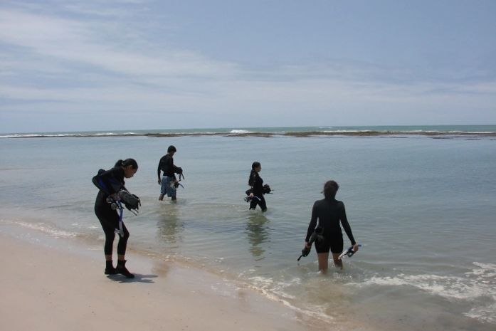 Biólogos registram espécies encontradas em recifes de corais