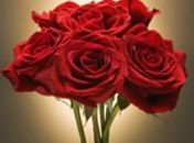 Veja o significado de flores para buquês e arranjos do casamento