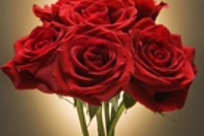 Veja o significado de flores para buquês e arranjos do casamento