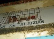 Candidato a prefeito é levado à delegacia por descumprir decisão