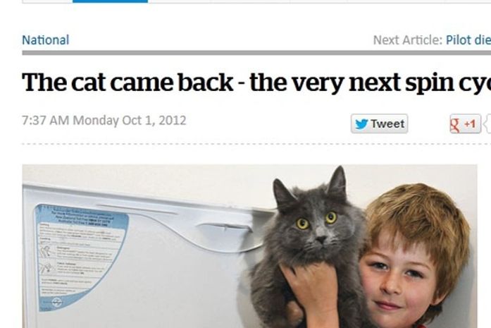 Gato sobreviveu a um ciclo de 55 minutos na máquina de lavar roupa.