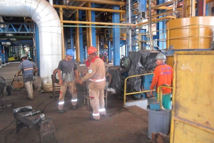 Usina Uruba em Atalaia se preparando para moer