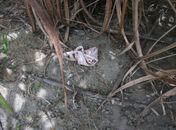 Roupas estava próximas do corpo