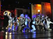 Os Gatos voltam a invadir o Teatro Deodoro