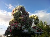 Nossa Senhora Aparecida