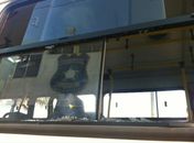 Homem é preso após quebrar vidro de ônibus na Ponta Verde