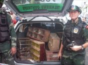  2º Tem. Queiroz e 1ª Tem. Djane