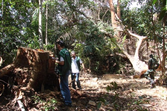 IMA e BPA flagram supressão de vegetação em Área de Preservação Permanente