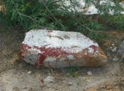 Homem é assassinado e tem corpo parcialmente carbonizado