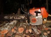 Madeira e equipamentos apreendidos pelo Batalhão Ambiental