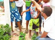 Seinfra faz campanha de arborização em residencial de Penedo