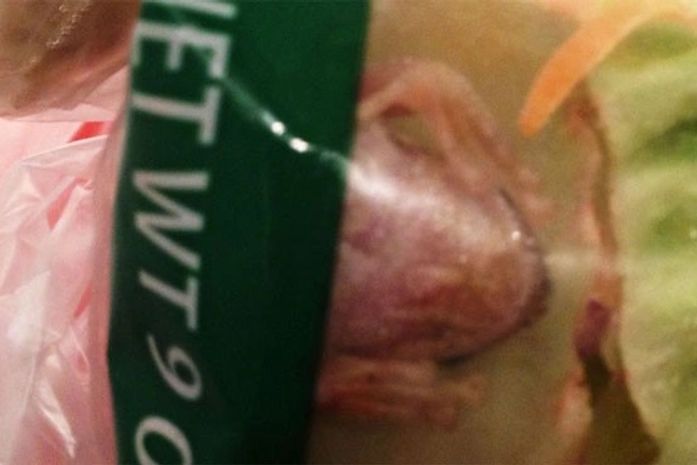 Mulher encontrou um sapo vivo em embalagem de salada.