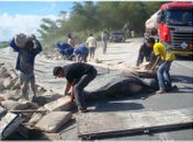 A carga foi saqueada 