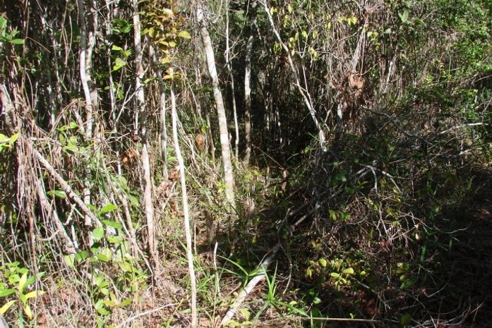 Operação ocorreu nesta manhã