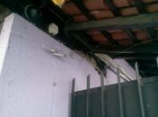 Usuários de drogas tentaram arrombar salão de beleza.