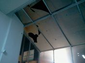 Moradores de rua e usuários de drogas voltam a depredar galeria