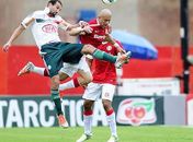 Defesa do Palmeiras apelará até para cor de camisa para anular partida