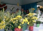 Comércio de flores ajudou no faturamento extra de comerciantes