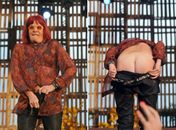 Cantora Rita Lee abaixa a calça em show no Distrito Federal
