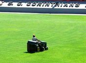 Diretoria Tricolor vai reabrir portas de seu estádio e confirma retorno do clube para Maceió