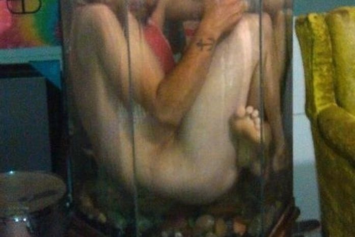 Aquário de bêbado ornamental