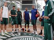 Palmeiras tenta retomar sua tradição no basquete
