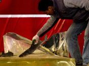 Aquário de tubarões estoura na China