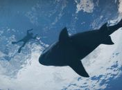 Produtora divulga cinco novas imagens do game 'GTA V'