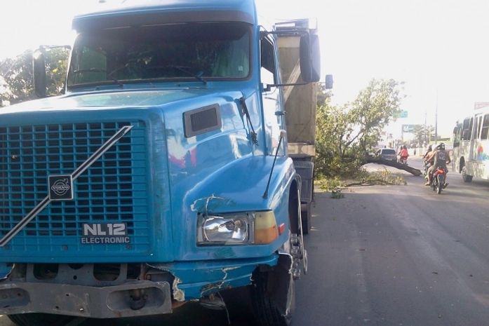 Carreta evita acidente, derruba árvore e semáforo