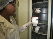 Estoques de sangue estão 50% abaixo do limite mínimo  