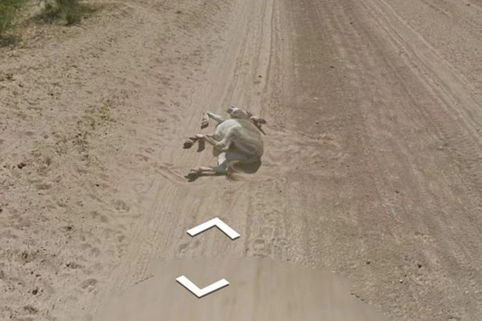 Carro do Google Street View é acusado de atropelar e matar burro