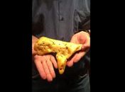 Australiano encontra pepita de ouro de US$ 300 mil