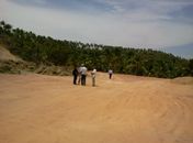 Área foi desmatada ilegalmente