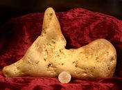 Caçador de tesouros amador encontra pepita de 5,5 kg de ouro