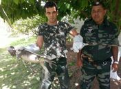 Animal foi resgatado