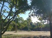 Prefeitura cumpre promessa e limpa área verde na periferia