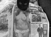 Já viram uma gatinha com peitos mais lindos que esses?