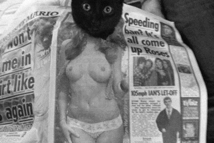 Já viram uma gatinha com peitos mais lindos que esses?