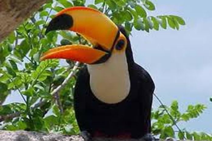 O PSDB evita entrar em confronto direto e criar um “mal estar” com Renan