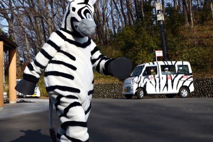 Funcionário se fantasia de zebra para simular fuga em zoo japonês
