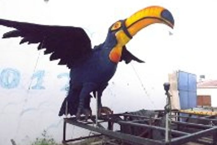 Tucano gigante na folia