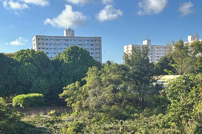 Mata Atlântica dá lugar a condomínio de quatro torres em Maceió; MP apura derrubada