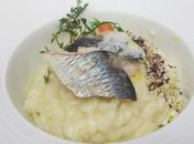 Faça essa receita leve e saborosa de risoto de limão com sardinha