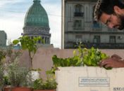 Jardim nos telhados dá desconto no imposto na Argentina