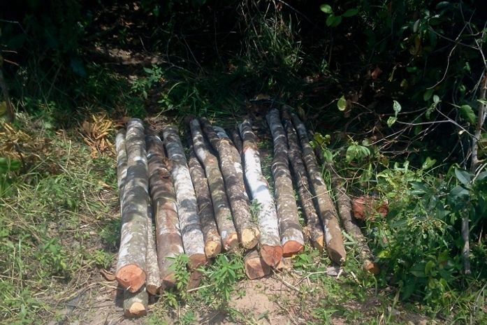 Fiscalização em área desmatada entre os bairros da Serraria e do Benedito Bentes