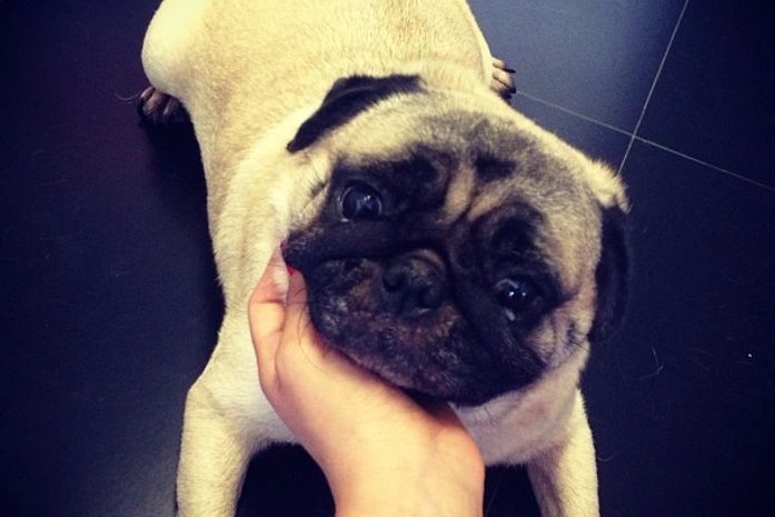 Após assumir namoro com Neymar, Marquezine se declara para cadela