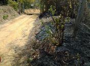 Corpo  de Franciele foi encontrado carbonizado